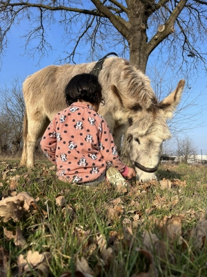 EMOZIONI IN FATTORIA