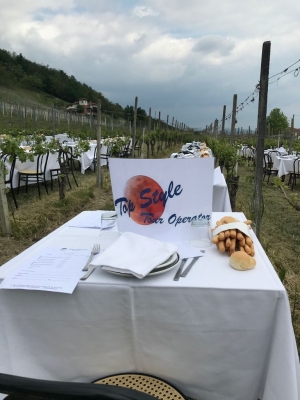 PRANZO IN VIGNA CON CAMMINATA CAMPAGNOLA